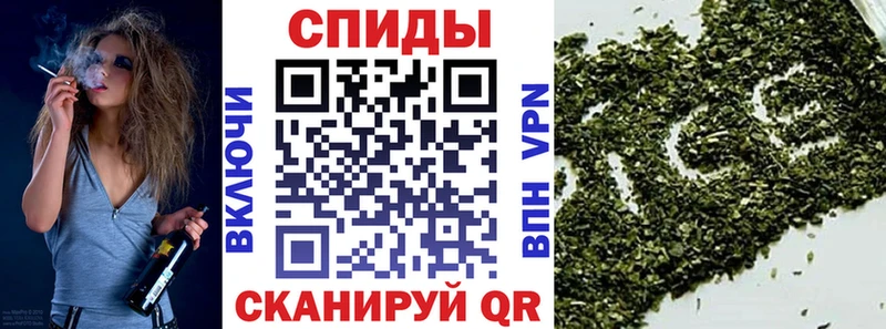 БУТИРАТ 1.4BDO  OMG вход  мориарти формула  Талдом 